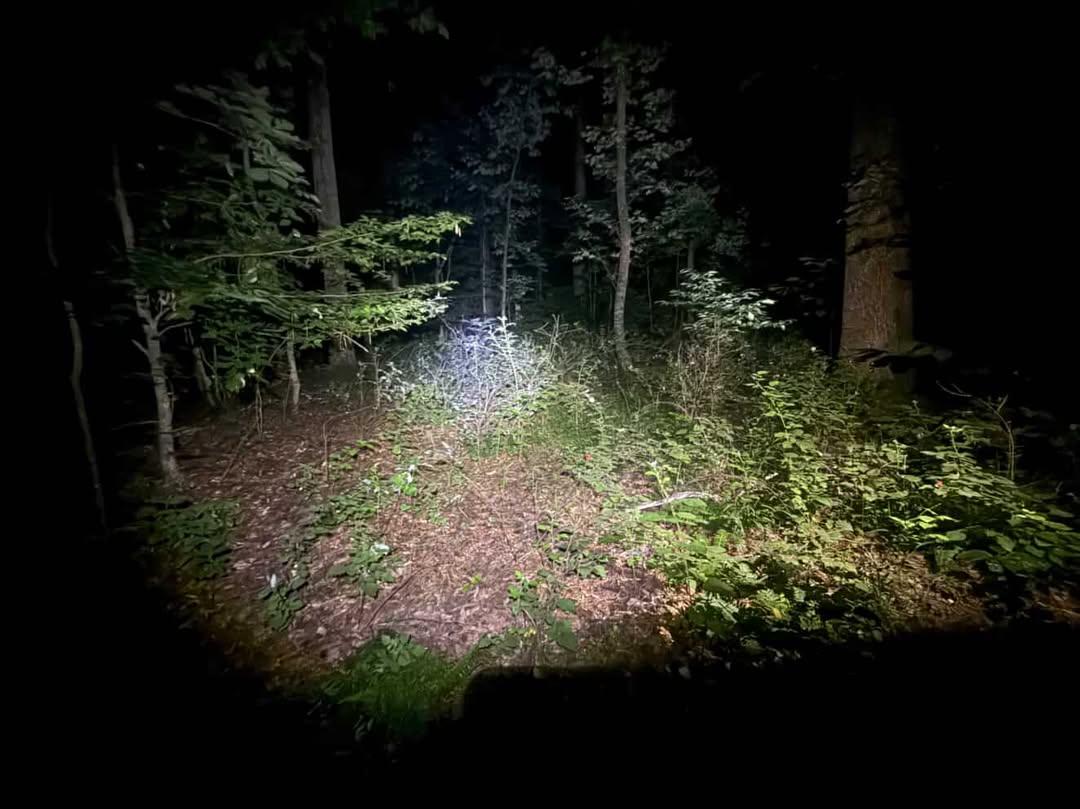 Probable gravesite indicator